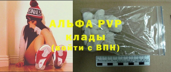 apvp Алзамай