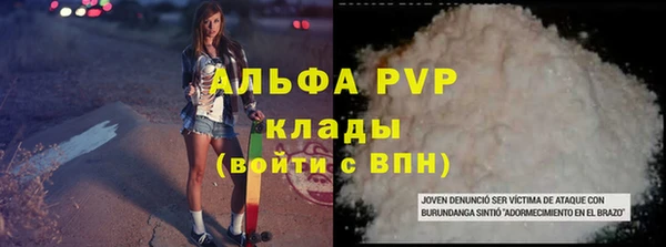 apvp Алзамай
