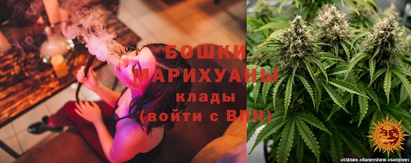 apvp Алзамай