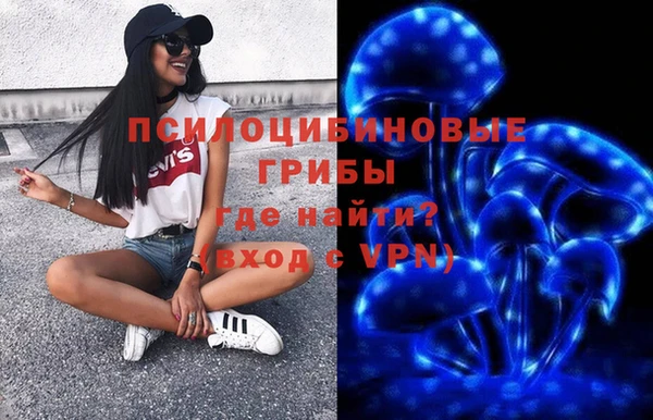 apvp Алзамай