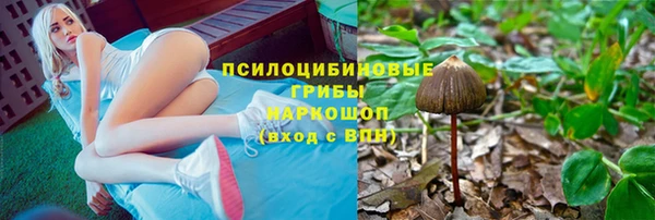 тгк Алексин