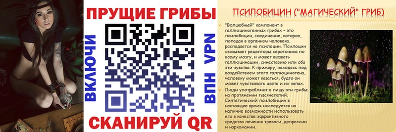 Галлюциногенные грибы Psilocybine cubensis  Купить  Жуковка 